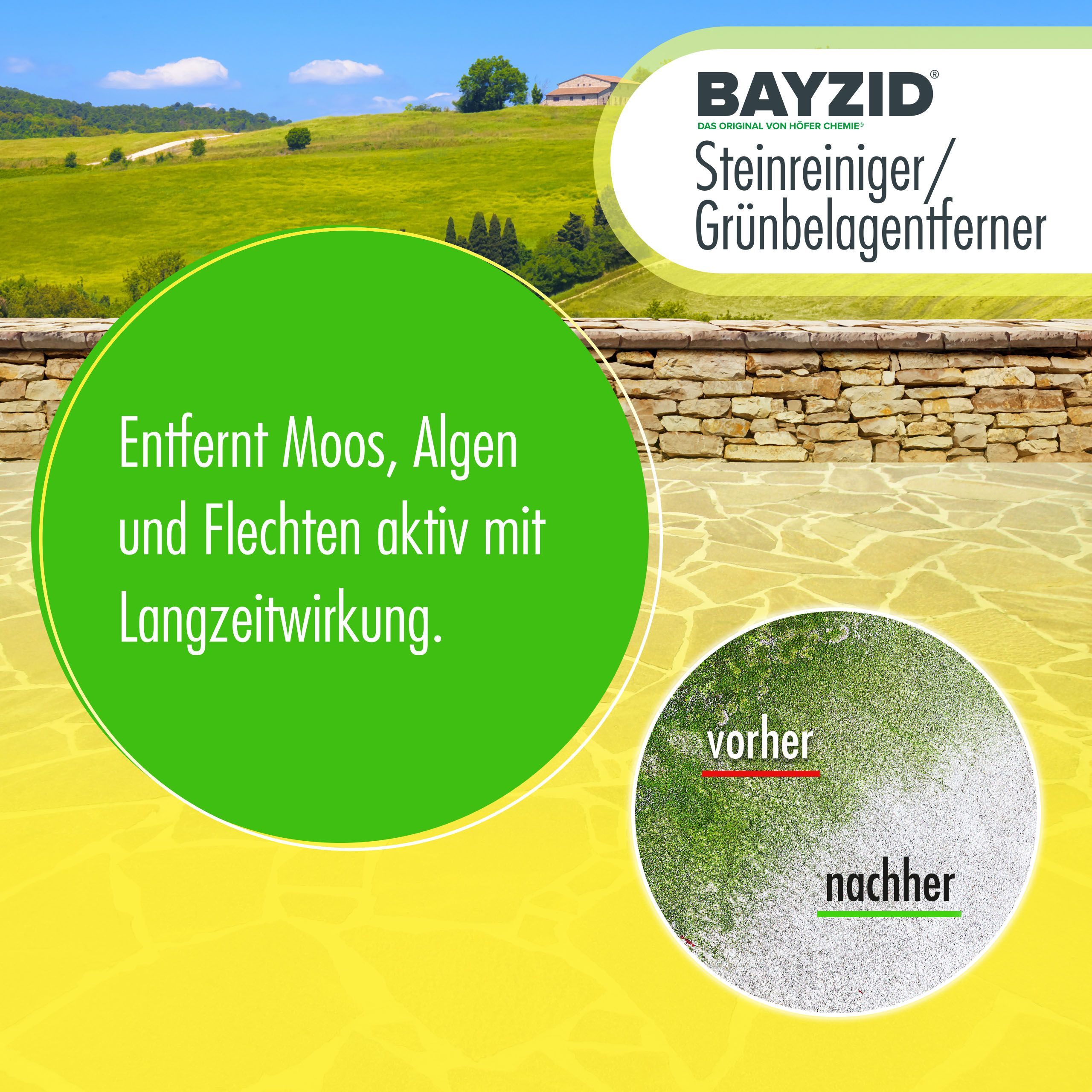 5 L Bayzid® Steinreiniger / Grünbelag-Entferner